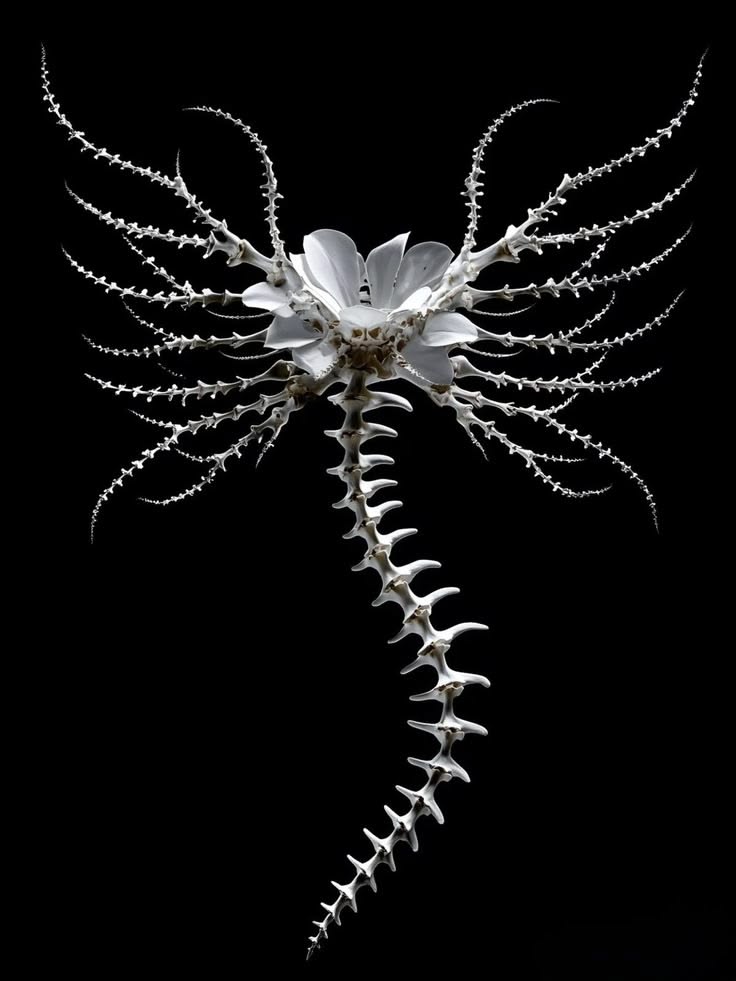 Umbra Studios founder